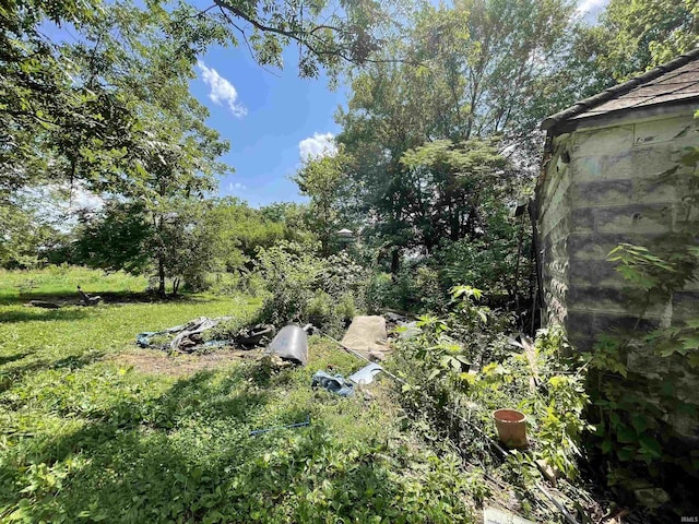 2812 Oliver Rd, Mount Vernon, IN 47620 - view of yard