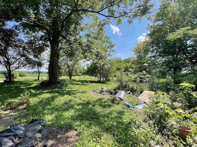 2812 Oliver Rd, Mount Vernon, IN 47620 - view of yard