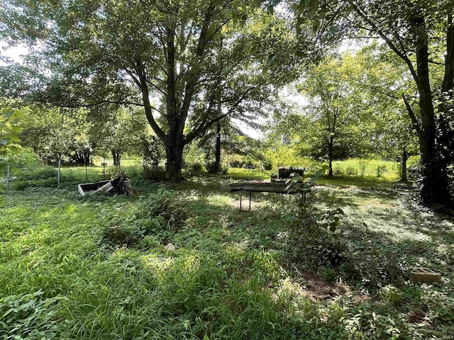 2812 Oliver Rd, Mount Vernon, IN 47620 - view of nature