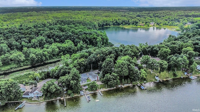 11685 W 710 N, Middlebury, IN 46540 - aerial view of property's location with a heavily wooded area and a large body of water