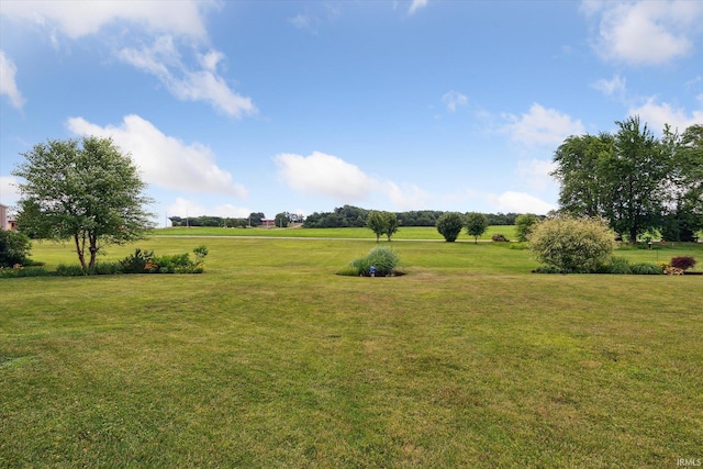 64052 State Road 331st Hwy, South Bend, IN 46614 - view of green lawn