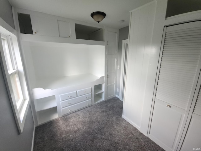 3742 N Indian Creek Rd, Logansport, IN 46947 - unfurnished bedroom featuring dark colored carpet and a closet
