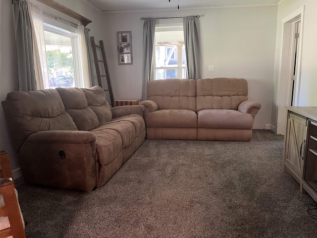 640 N Flint Rd, Angola, IN 46703 - carpeted living area featuring ornamental molding