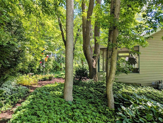 18485 Wooded Way S, Bend, IN 46637 - view of yard