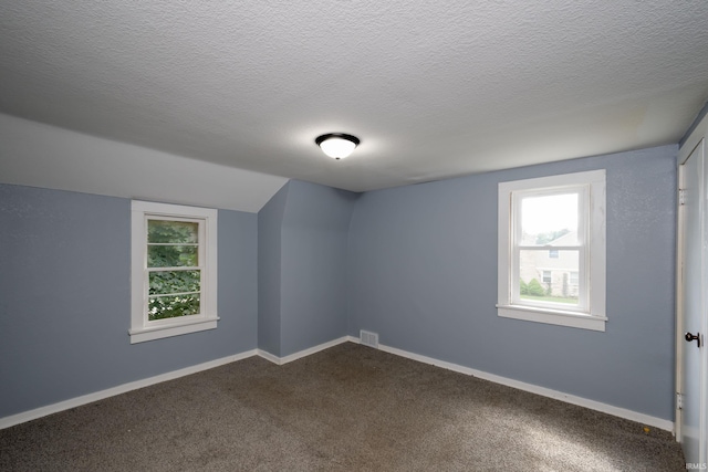 1201 Canal St, New Haven, IN 46774 - bonus room featuring healthy amount of natural light, lofted ceiling, a textured ceiling, and dark colored carpet