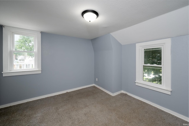 1201 Canal St, New Haven, IN 46774 - empty room with lofted ceiling and dark carpet