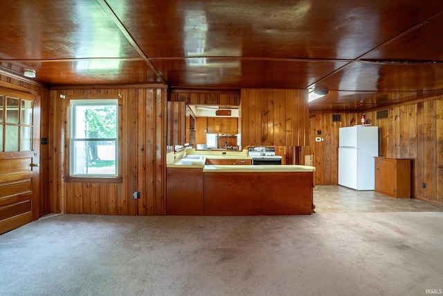 2200 S 460 E, Lagrange, IN 46761 - kitchen with freestanding refrigerator, wood walls, black electric range, brown cabinets, and carpet floors