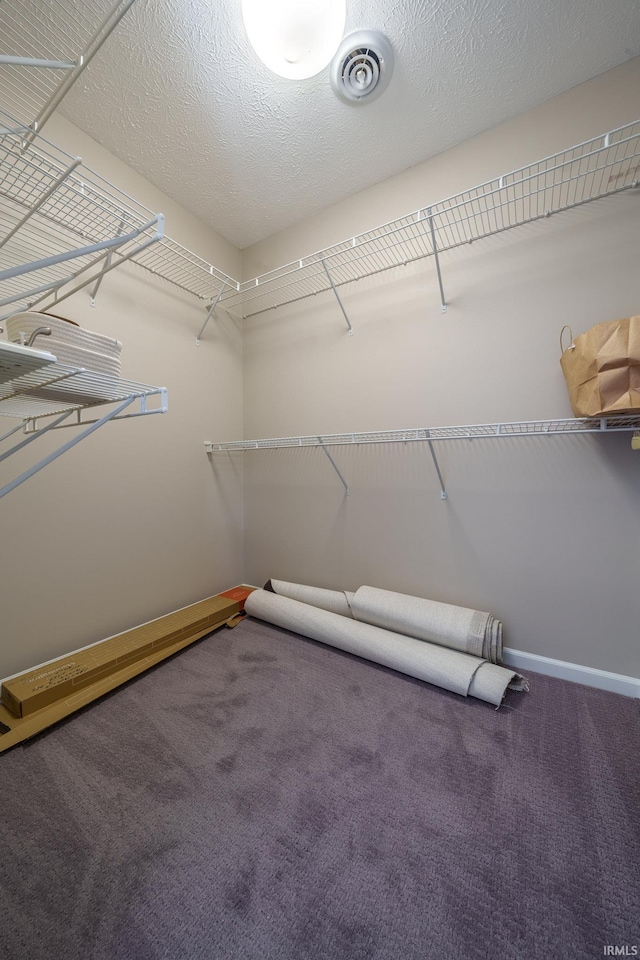 830 W Walnut Rdg, Logansport, IN 46947 - walk in closet with carpet floors