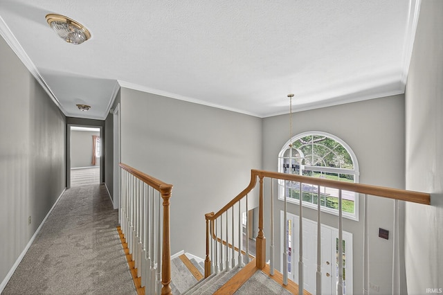 14276 Old Pine Ln, Mishawaka, IN 46545 - corridor with an upstairs landing, carpet, ornamental molding, and a textured ceiling