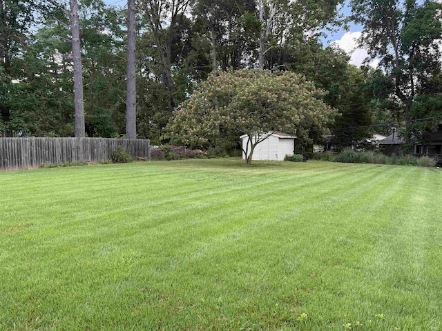 1417 E Clairmont Pl, Bloomington, IN 47401 - view of yard with a storage unit