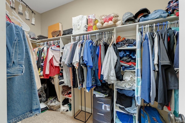 1669 E Brookside Trl, Columbia City, IN 46725 - walk in closet with carpet flooring