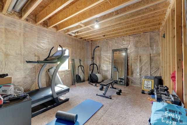 1669 E Brookside Trl, Columbia City, IN 46725 - view of exercise area