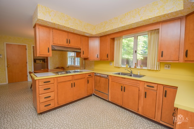 3400 W University Ave, Muncie, IN 47304 - kitchen featuring dishwashing machine, under cabinet range hood, electric cooktop, light countertops, and light floors