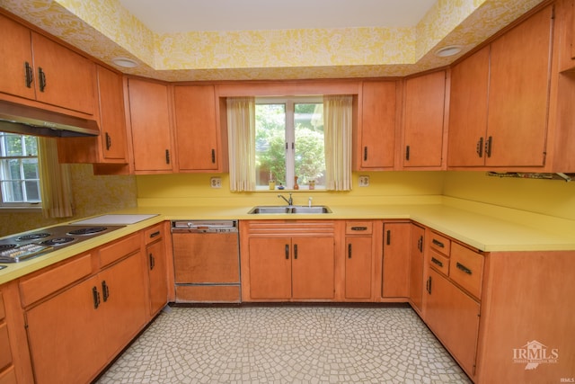 3400 W University Ave, Muncie, IN 47304 - kitchen featuring dishwasher, healthy amount of natural light, light countertops, and stainless steel electric cooktop
