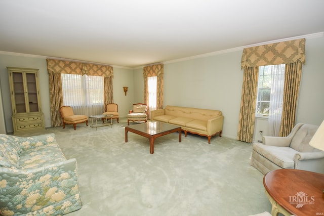 3400 W University Ave, Muncie, IN 47304 - living area featuring carpet, crown molding, and plenty of natural light
