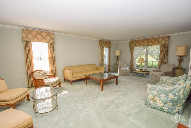 3400 W University Ave, Muncie, IN 47304 - carpeted living area featuring healthy amount of natural light and crown molding