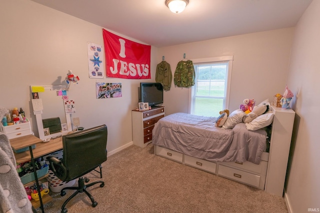 4555 E State Road 66, Cannelton, IN 47520 - view of carpeted bedroom