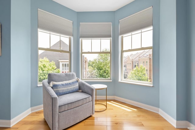 1219 Napoleon St Unit 217, South Bend, IN 46617 - living area with plenty of natural light and hardwood / wood-style floors