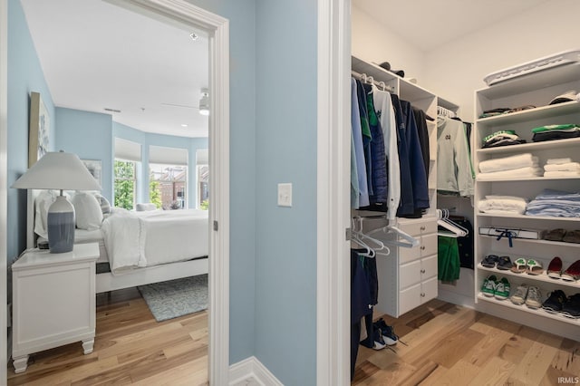 1219 Napoleon St Unit 217, South Bend, IN 46617 - walk in closet with light wood-type flooring