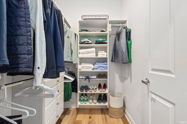 1219 Napoleon St Unit 217, South Bend, IN 46617 - walk in closet featuring wood finished floors
