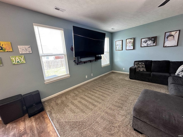 4805 Langhorn Trl, Lafayette, IN 47909 - living area featuring a textured ceiling and carpet floors