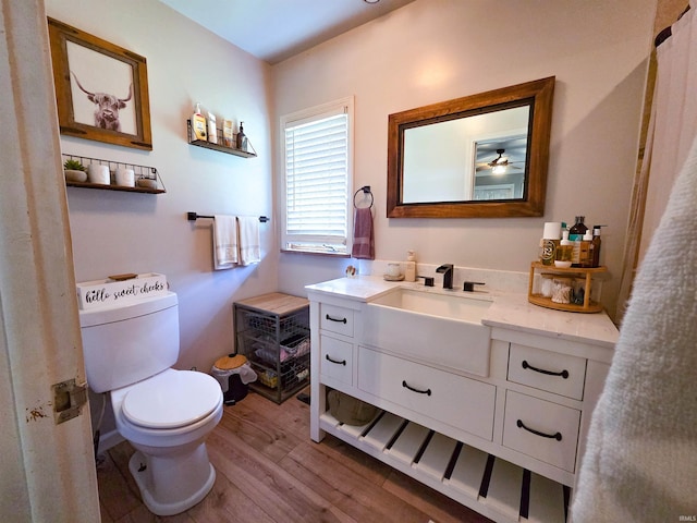 106 N Park Ave, Fowler, IN 47944 - bathroom with wood finished floors, vanity, and ceiling fan