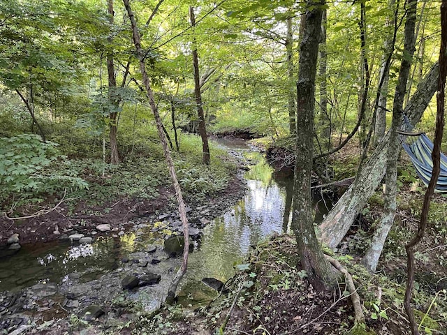 11456 E Robins Nest Dr, Springville, IN 47462