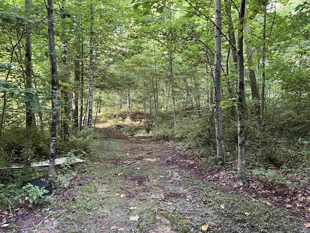 11456 E Robins Nest Dr, Springville, IN 47462