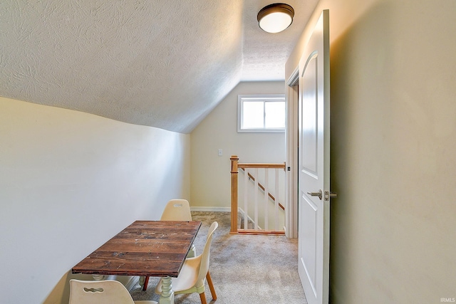 1931 Morton St, Lafayette, IN 47904 - bonus room with lofted ceiling, a textured ceiling, and light colored carpet