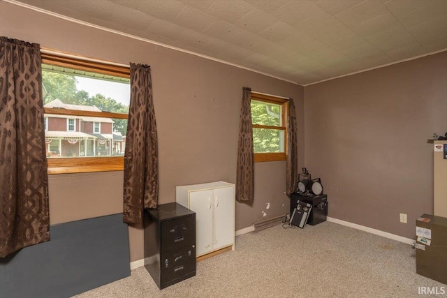 6943 Main St, West Point, IN 47992 - misc room featuring ornamental molding and carpet