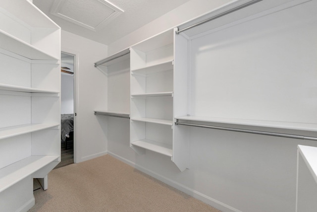 7415 Witling Blvd, Roanoke, IN 46783 - spacious closet featuring attic access and carpet