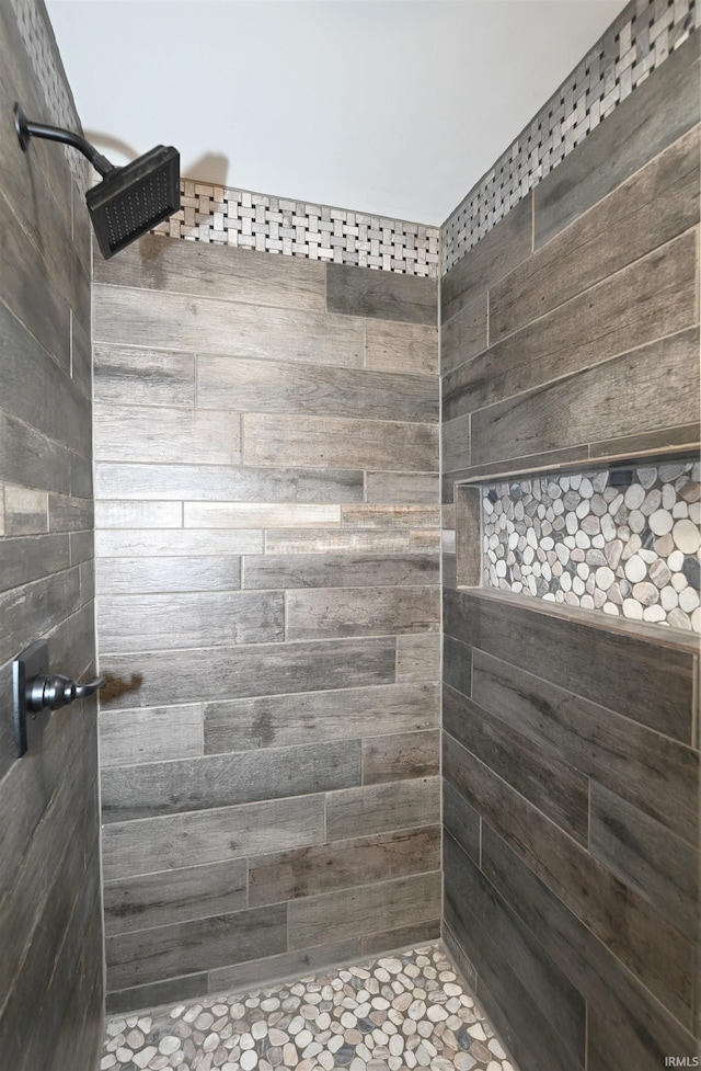 719 N Hathaway St, Winamac, IN 46996 - bathroom with tiled shower