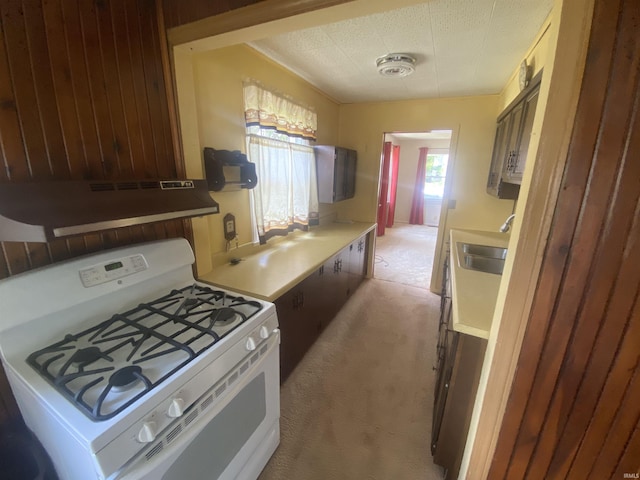 1415 Virginia St, Lafayette, IN 47905 - kitchen featuring white gas range oven, plenty of natural light, ventilation hood, and light colored carpet