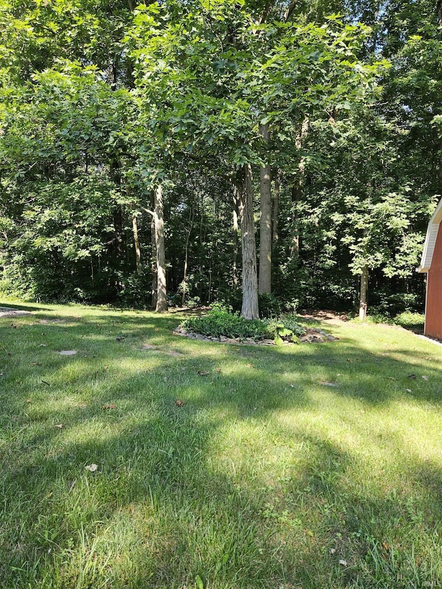 3475 W 1175 N Rd, Decatur, IN 46733 - view of green lawn