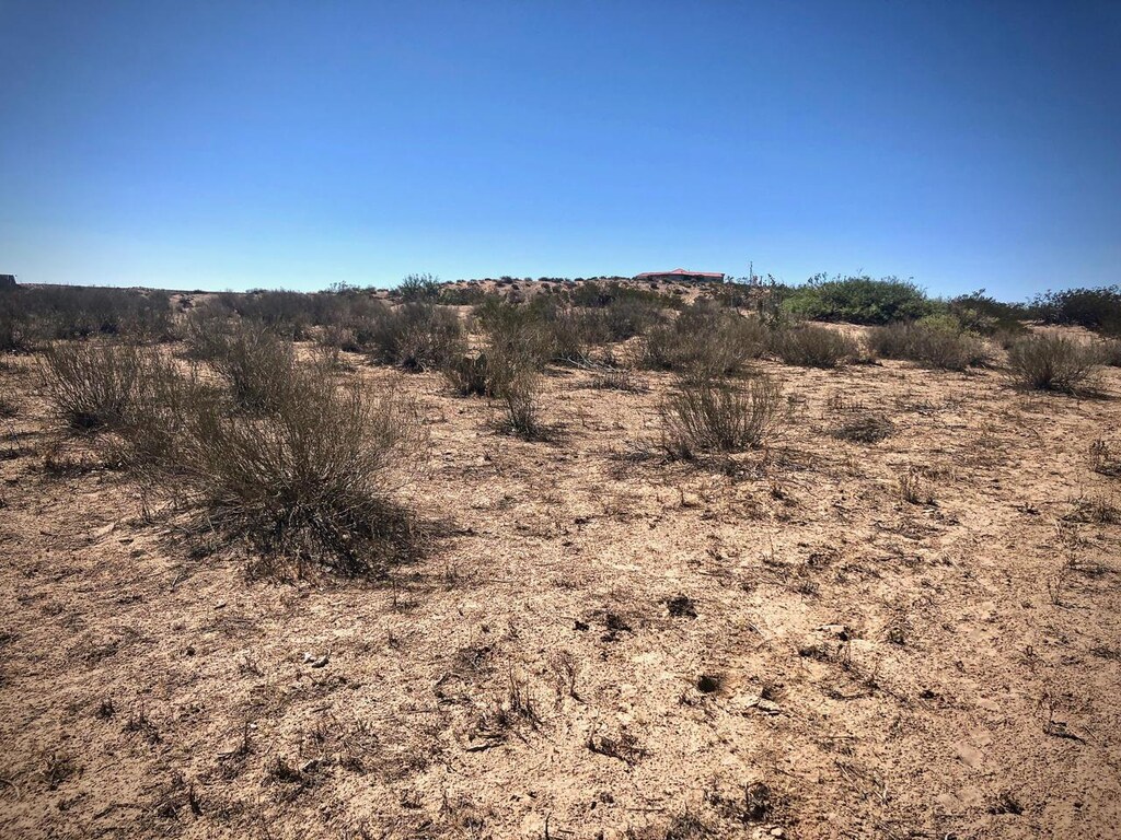 TractB Koogle, Anthony, NM 88021