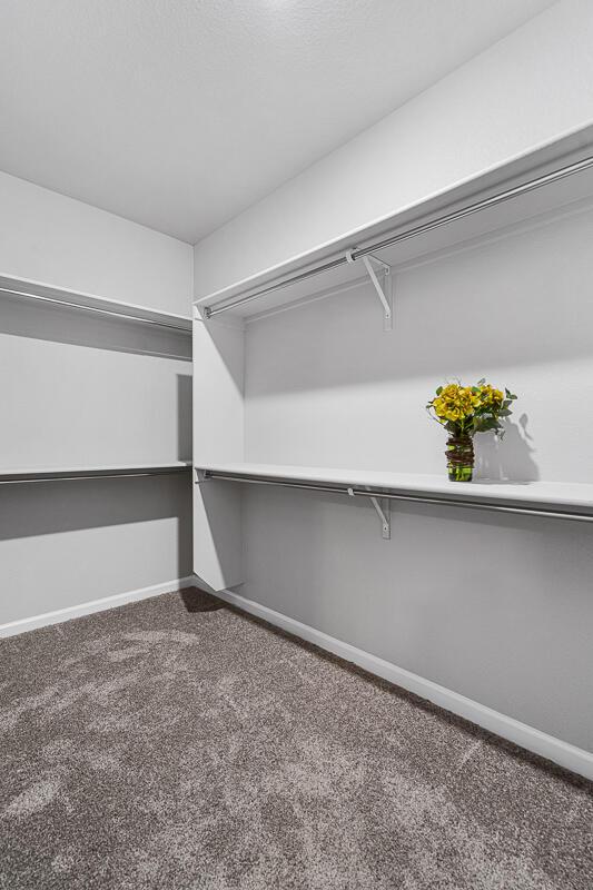 walk in closet featuring carpet