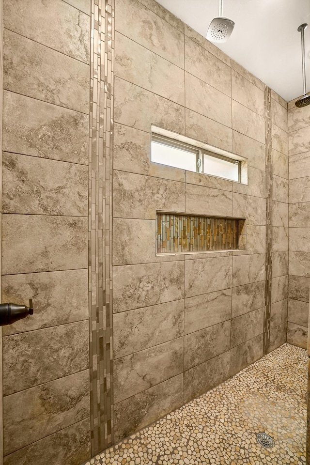 2425 Cesar Cordova Pl, El Paso, TX 79938 - bathroom featuring a tile shower