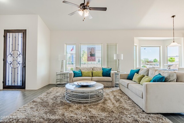 living room featuring ceiling fan, plenty of natural light, and hardwood / wood-style floors