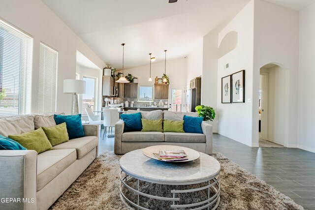 living room featuring high vaulted ceiling and dark wood-type flooring