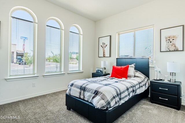 bedroom featuring multiple windows and light colored carpet