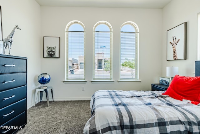 bedroom featuring baseboards and carpet floors
