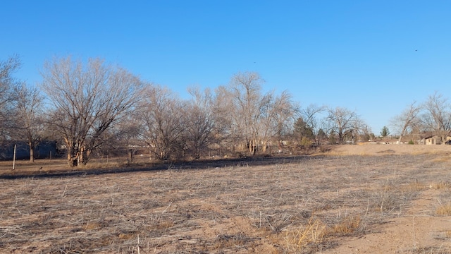 view of yard featuring a rural view