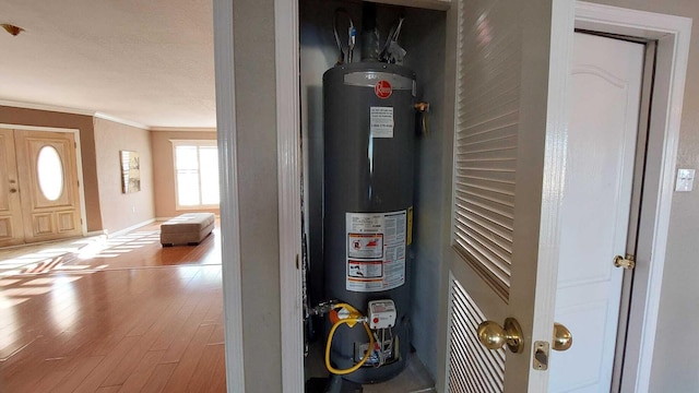 utility room with gas water heater