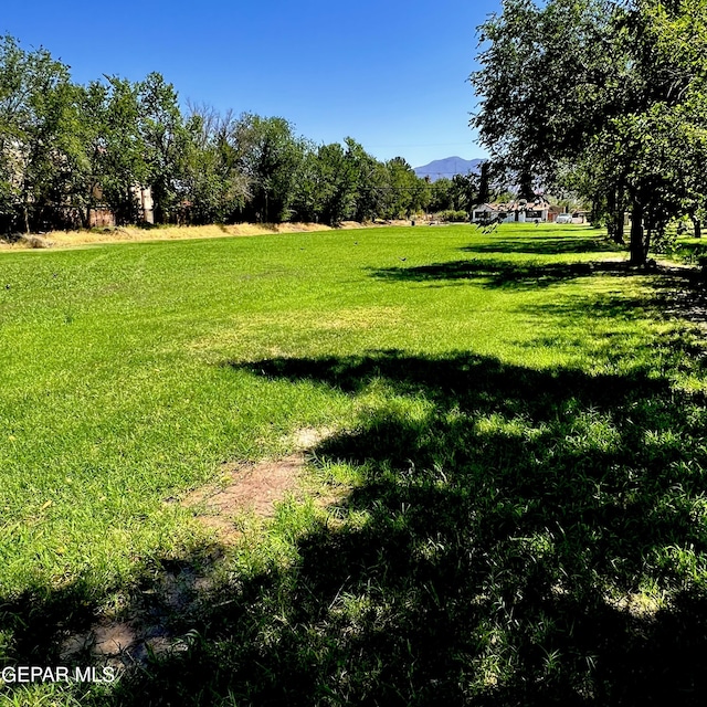 view of yard featuring a rural view and a mountain view