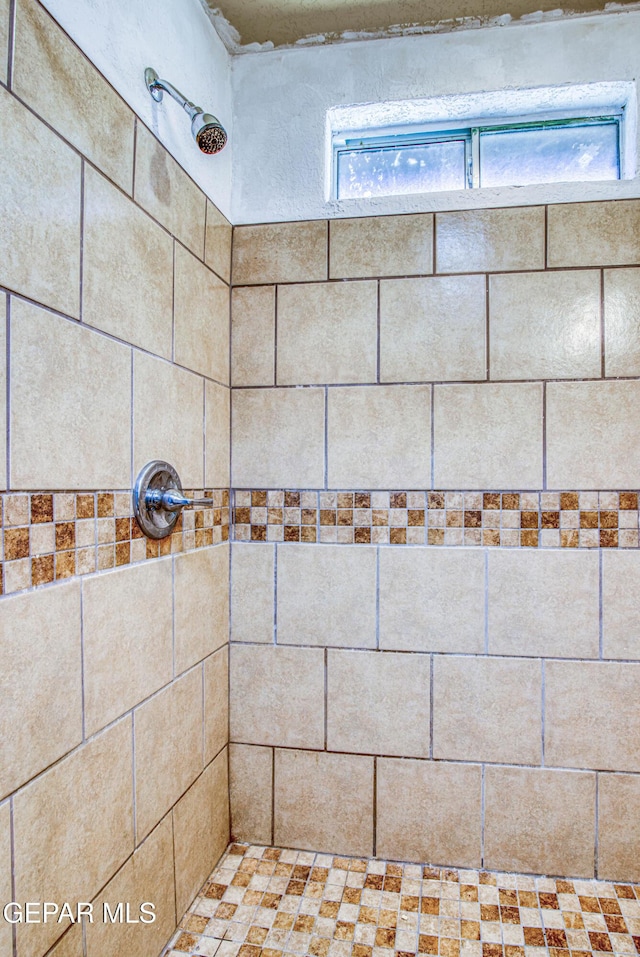 room details with tiled shower