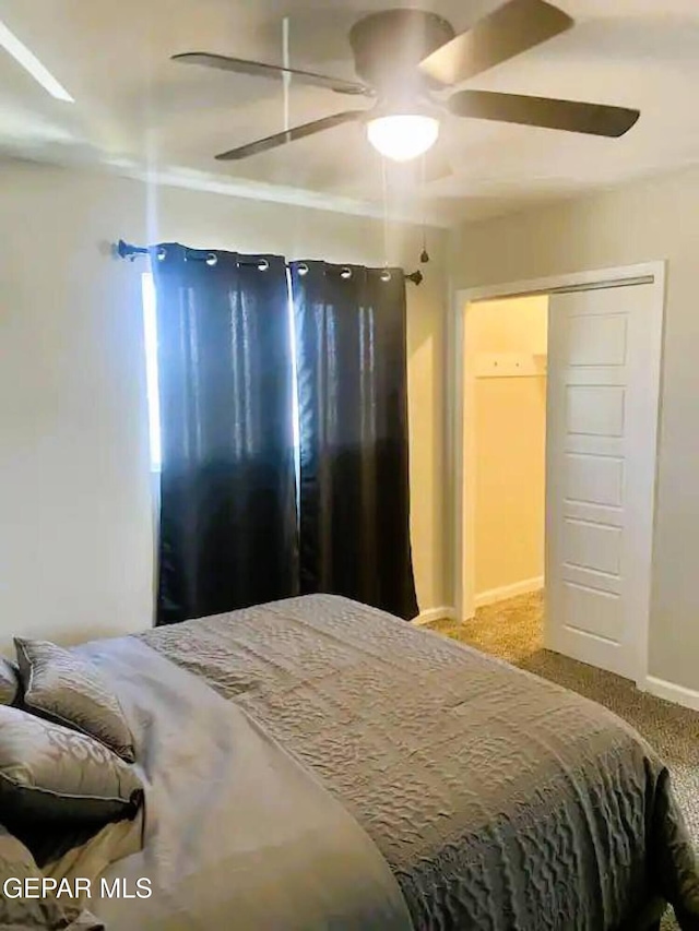 7441 Alameda Ave, El Paso, TX 79915 - photo 20