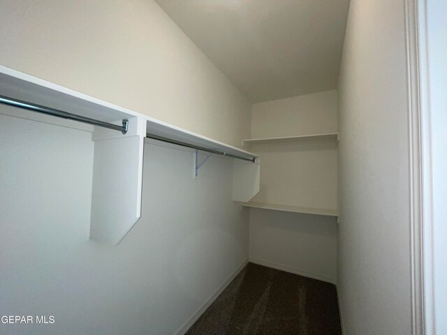 spacious closet featuring dark colored carpet