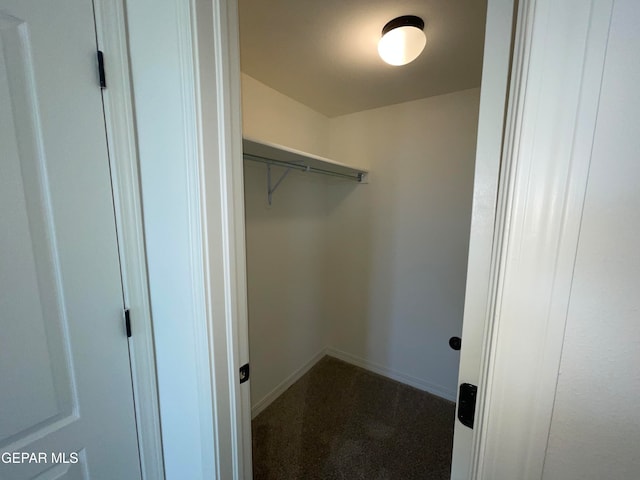 spacious closet featuring dark colored carpet