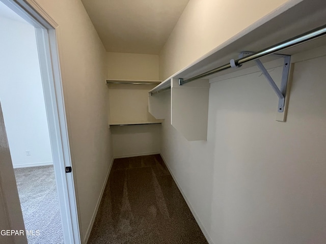 walk in closet with dark colored carpet