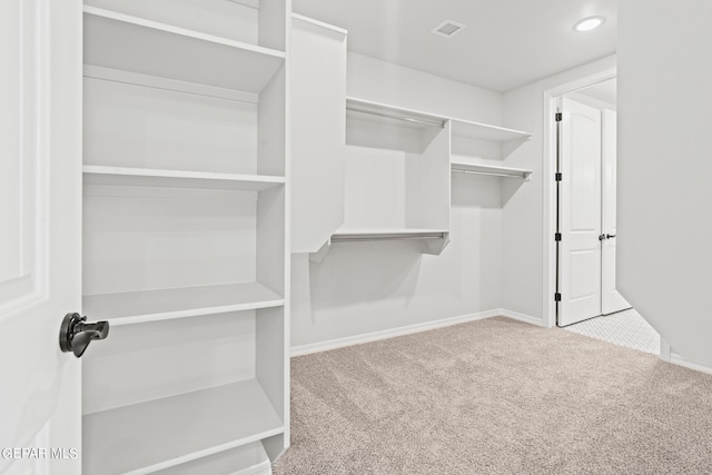 spacious closet with light carpet